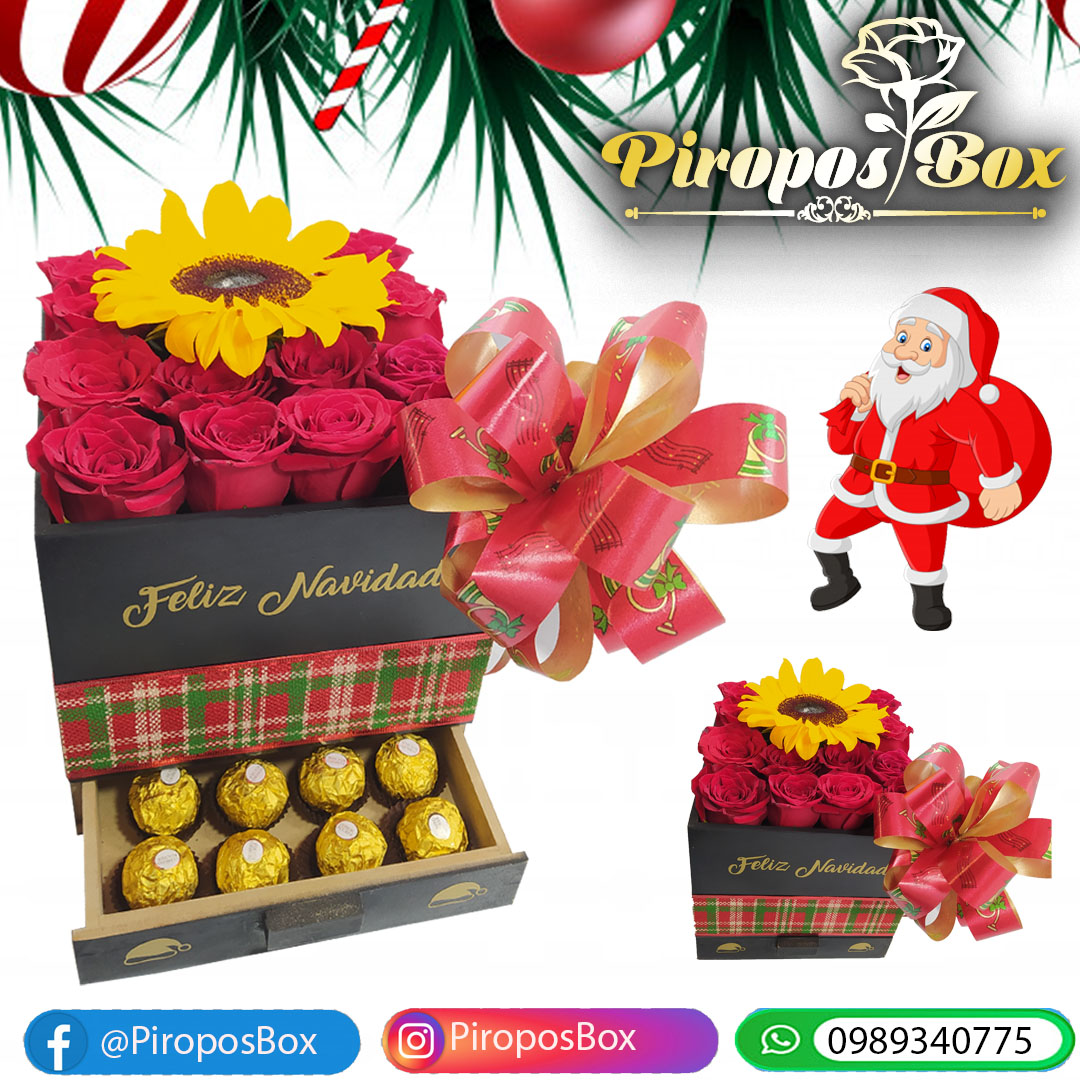 Piropos Box Navideño Con Girasol – PIROPOS BOX